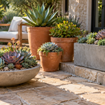 outdoor succulent planter ideas